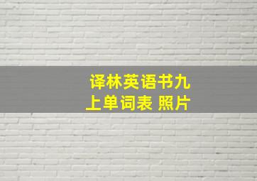 译林英语书九上单词表 照片